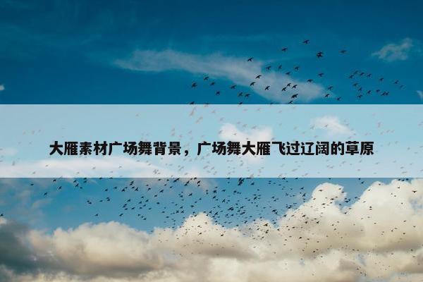 大雁素材广场舞背景，广场舞大雁飞过辽阔的草原