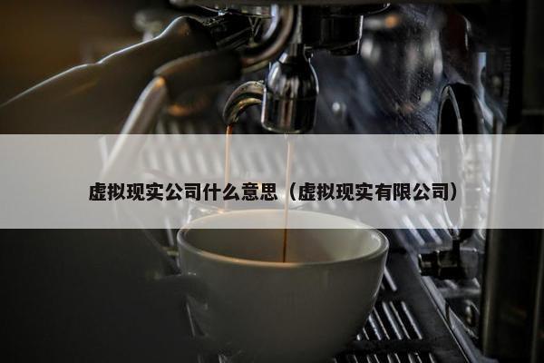 虚拟现实公司什么意思（虚拟现实有限公司）