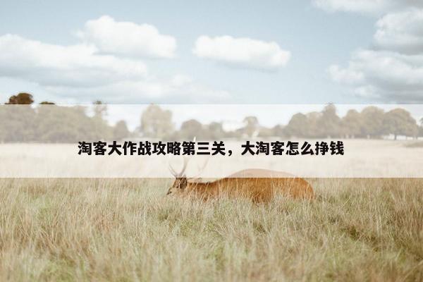 淘客大作战攻略第三关，大淘客怎么挣钱