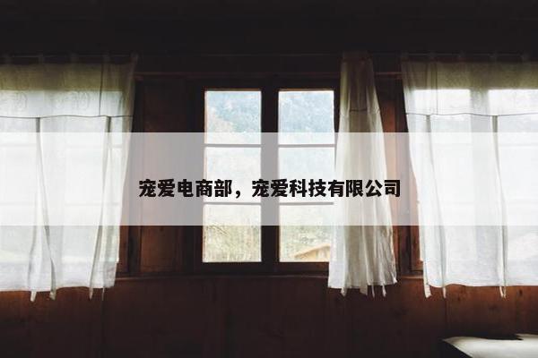宠爱电商部，宠爱科技有限公司