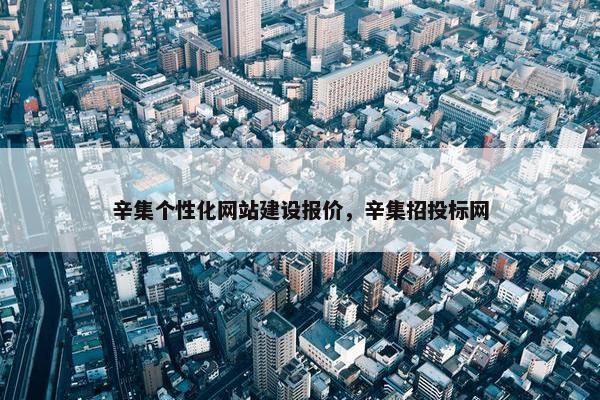 辛集个性化网站建设报价，辛集招投标网