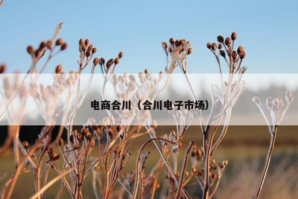 电商合川（合川电子市场）