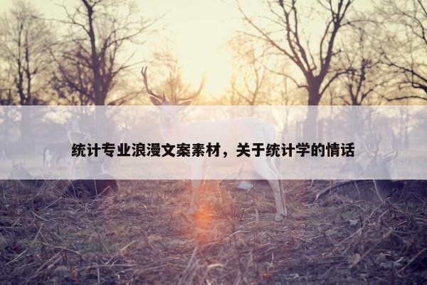 统计专业浪漫文案素材，关于统计学的情话
