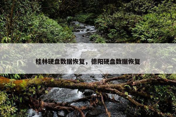 桂林硬盘数据恢复，德阳硬盘数据恢复