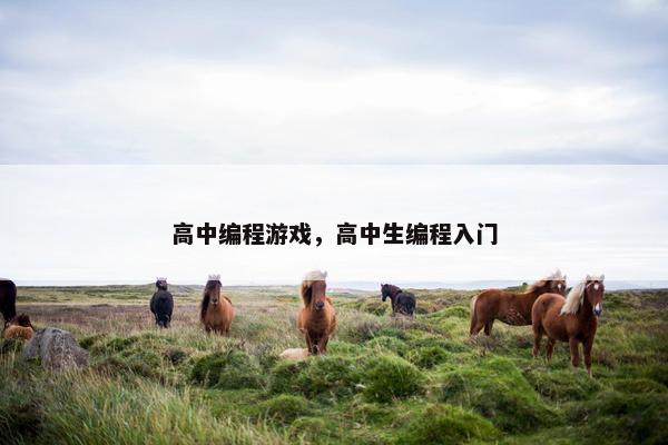 高中编程游戏，高中生编程入门