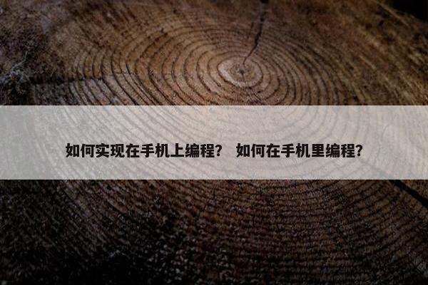 如何实现在手机上编程？ 如何在手机里编程？