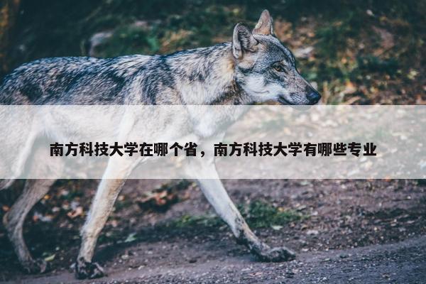 南方科技大学在哪个省，南方科技大学有哪些专业