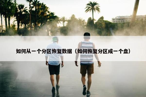 如何从一个分区恢复数据（如何恢复分区成一个盘）