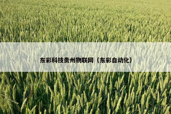 东彩科技贵州物联网（东彩自动化）