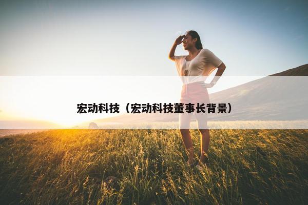 宏动科技（宏动科技董事长背景）