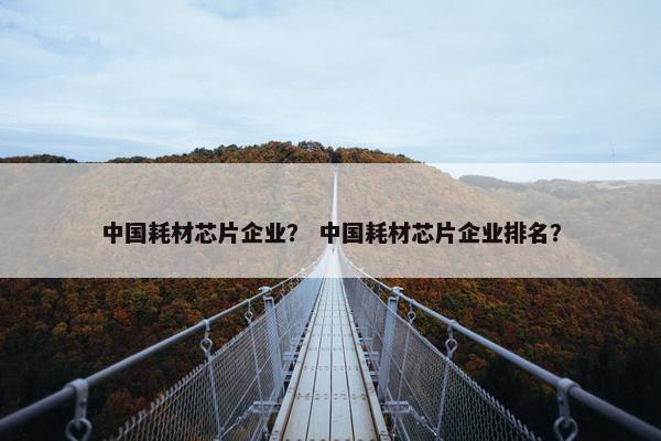 中国耗材芯片企业？ 中国耗材芯片企业排名？