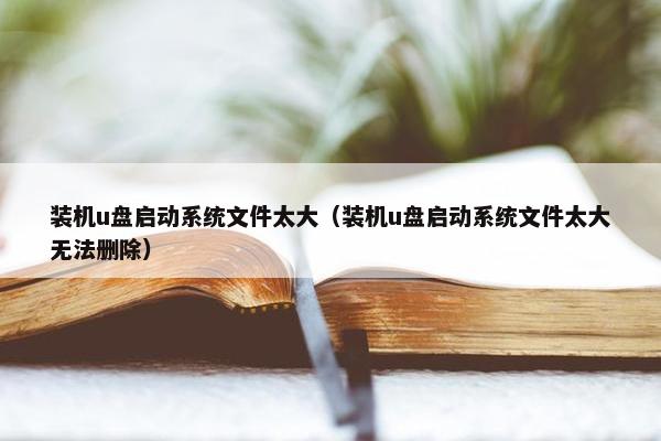 装机u盘启动系统文件太大（装机u盘启动系统文件太大无法删除）