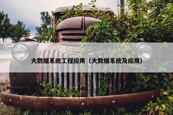 大数据系统工程应用（大数据系统及应用）