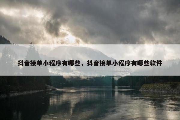 抖音接单小程序有哪些，抖音接单小程序有哪些软件