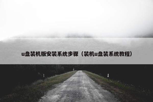 u盘装机版安装系统步骤（装机u盘装系统教程）