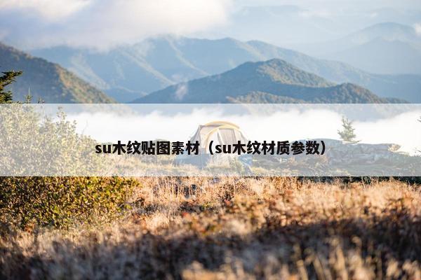 su木纹贴图素材（su木纹材质参数）