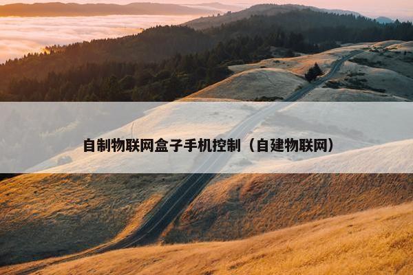 自制物联网盒子手机控制（自建物联网）