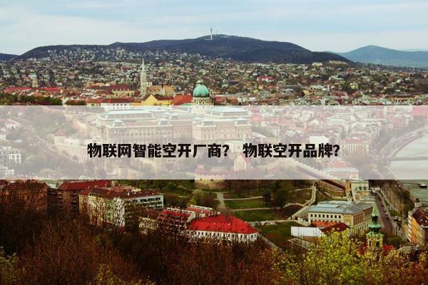 物联网智能空开厂商？ 物联空开品牌？