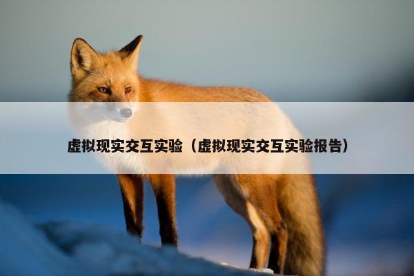 虚拟现实交互实验（虚拟现实交互实验报告）
