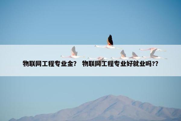物联网工程专业金？ 物联网工程专业好就业吗?？