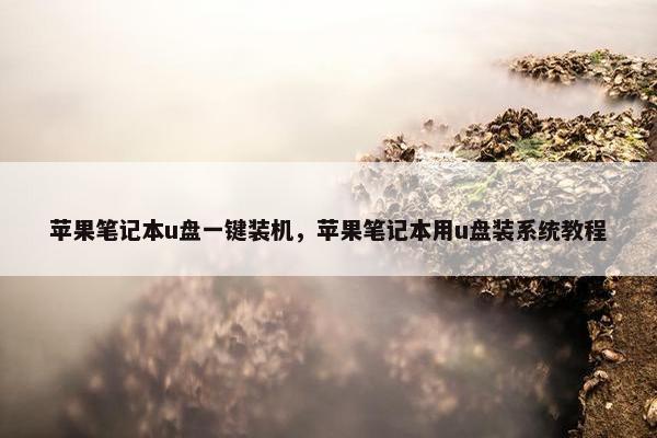 苹果笔记本u盘一键装机，苹果笔记本用u盘装系统教程