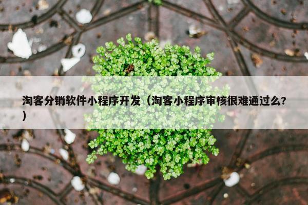 淘客分销软件小程序开发（淘客小程序审核很难通过么?）