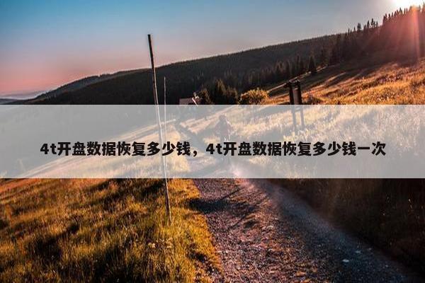 4t开盘数据恢复多少钱，4t开盘数据恢复多少钱一次