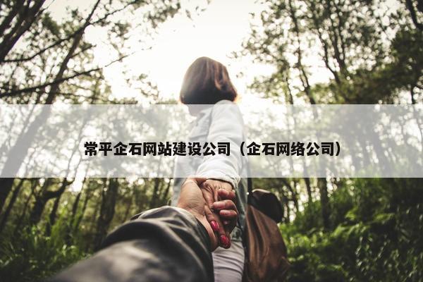 常平企石网站建设公司（企石网络公司）