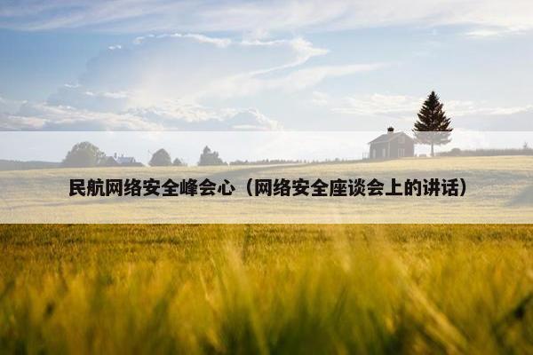 民航网络安全峰会心（网络安全座谈会上的讲话）