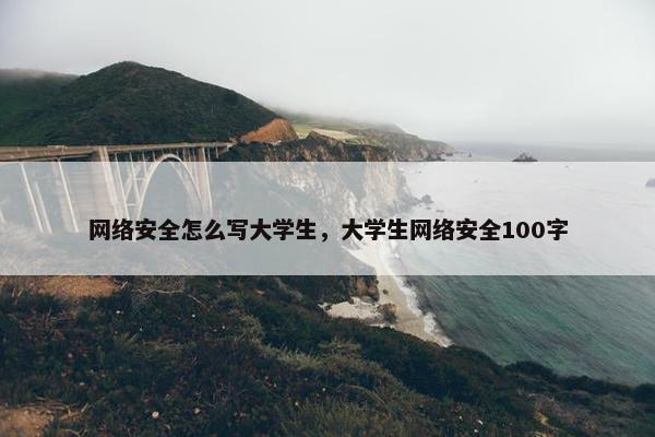 网络安全怎么写大学生，大学生网络安全100字