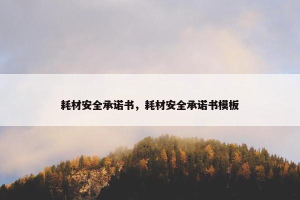 耗材安全承诺书，耗材安全承诺书模板