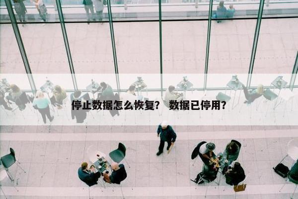 停止数据怎么恢复？ 数据已停用？