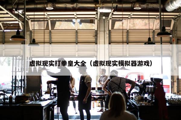 虚拟现实打拳皇大全（虚拟现实模拟器游戏）