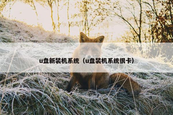 u盘新装机系统（u盘装机系统很卡）