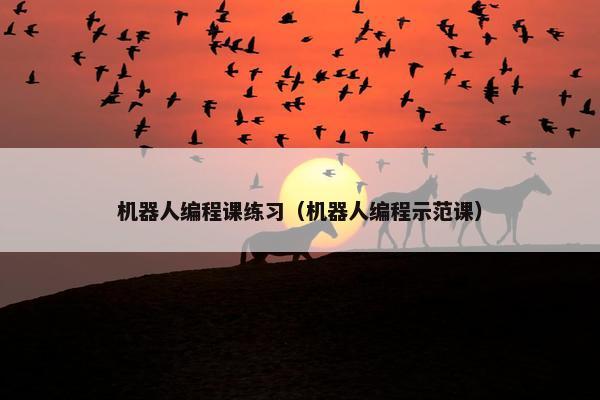 机器人编程课练习（机器人编程示范课）