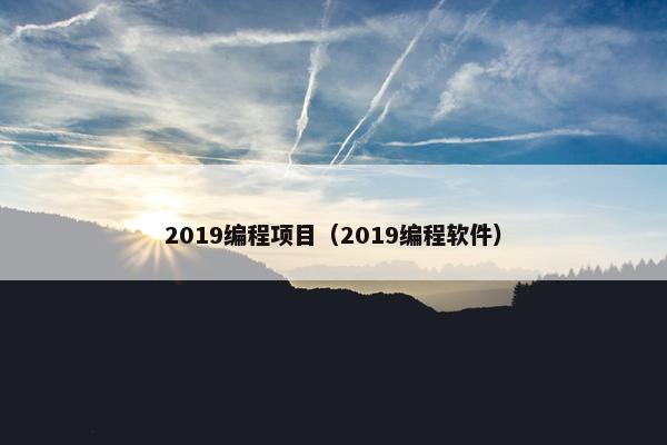 2019编程项目（2019编程软件）