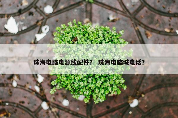 珠海电脑电源线配件？ 珠海电脑城电话？