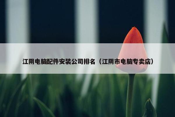 江阴电脑配件安装公司排名（江阴市电脑专卖店）