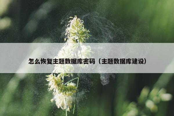 怎么恢复主题数据库密码（主题数据库建设）