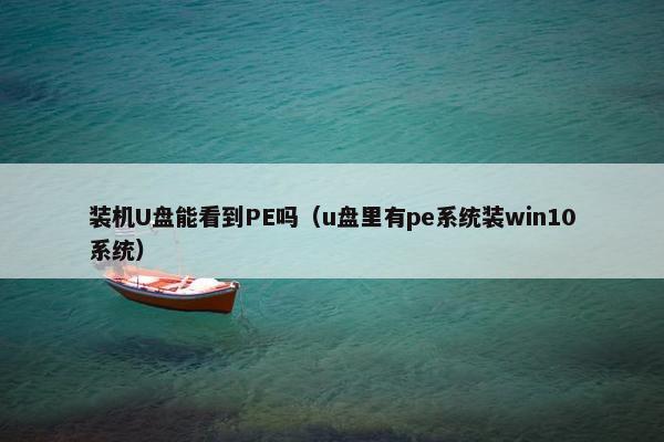 装机U盘能看到PE吗（u盘里有pe系统装win10系统）