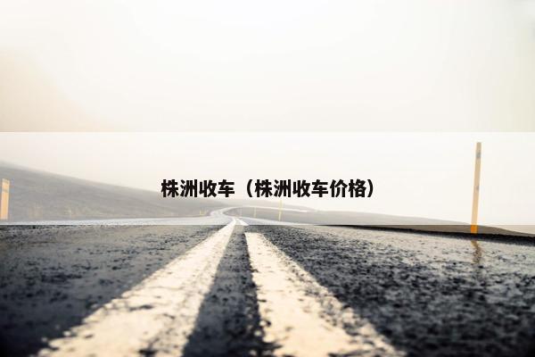 株洲收车（株洲收车价格）
