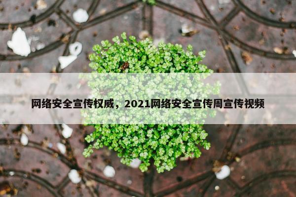 网络安全宣传权威，2021网络安全宣传周宣传视频