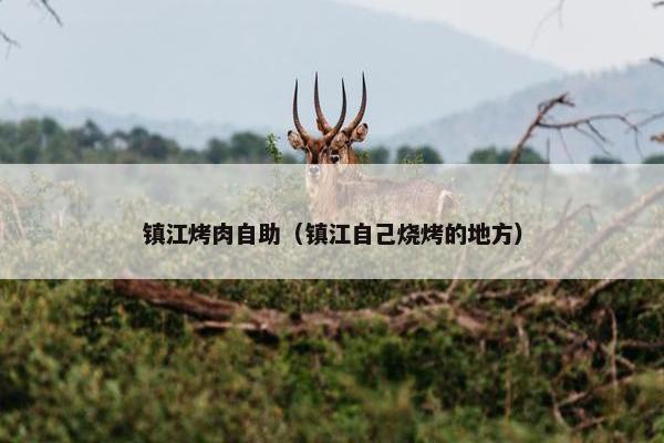 镇江烤肉自助（镇江自己烧烤的地方）