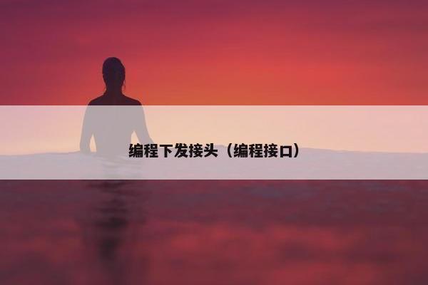 编程下发接头（编程接口）