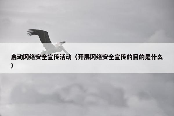 启动网络安全宣传活动（开展网络安全宣传的目的是什么）