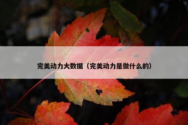 完美动力大数据（完美动力是做什么的）