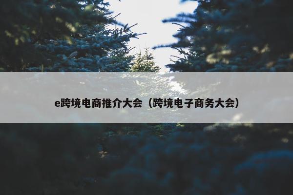 e跨境电商推介大会（跨境电子商务大会）