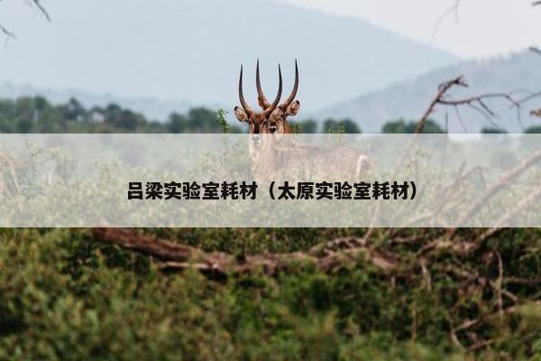 吕梁实验室耗材（太原实验室耗材）