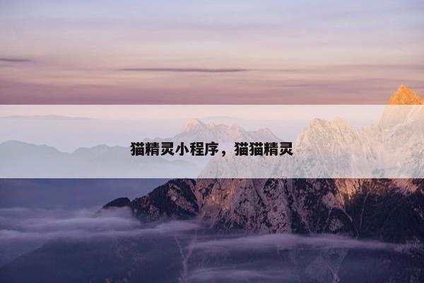 猫精灵小程序，猫猫精灵
