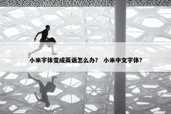 小米字体变成英语怎么办？ 小米中文字体？